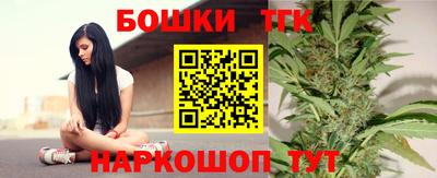 ешки Новодвинск