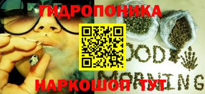 ешки Новодвинск