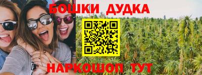 ешки Новодвинск